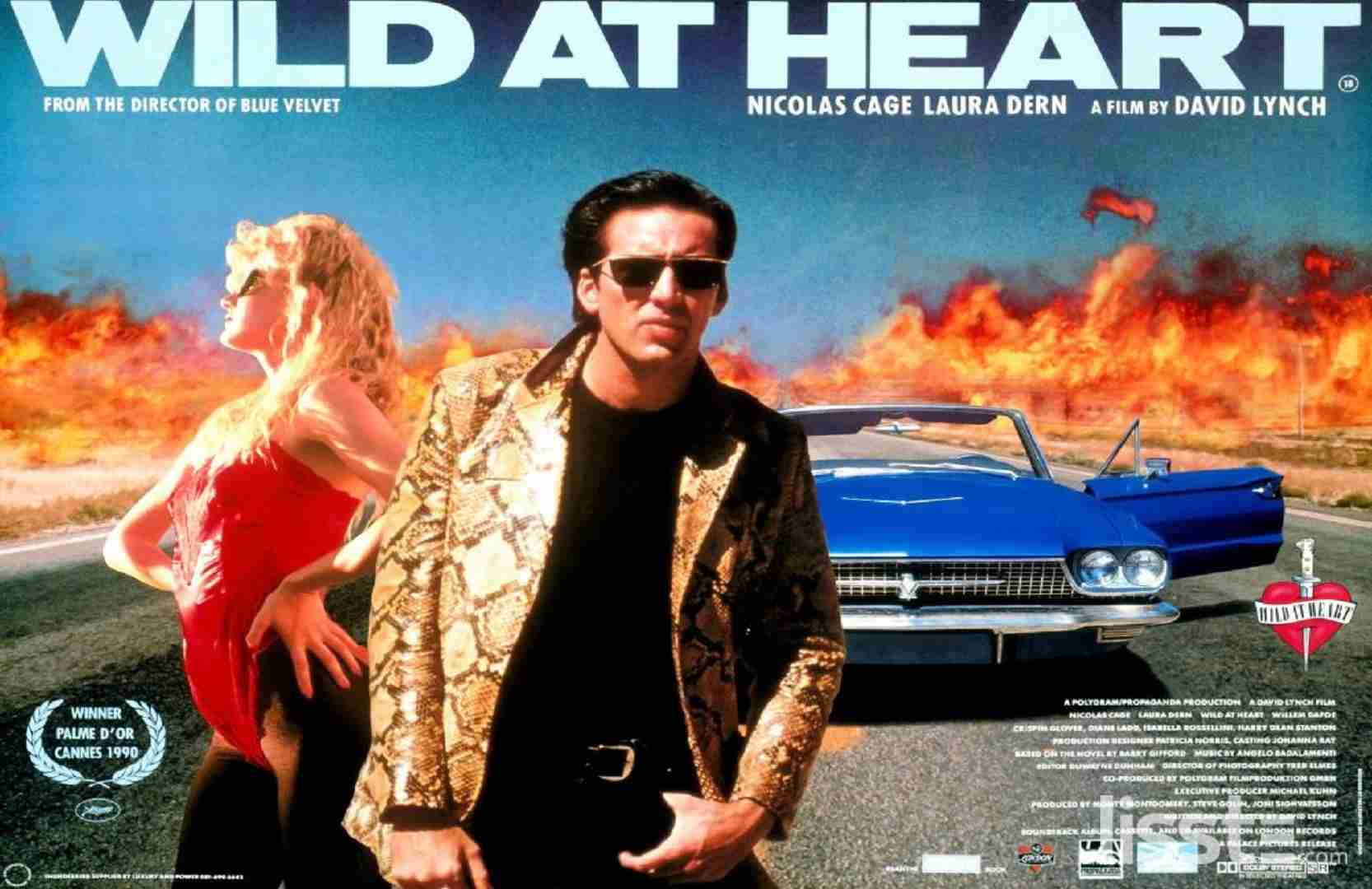 Wild at Heart (1990)-1566907390.jpg
